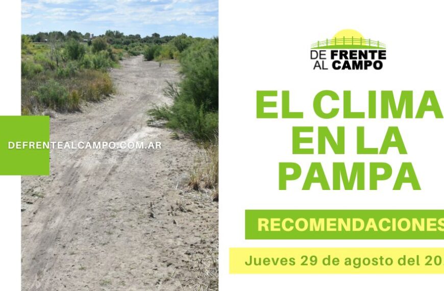 Hoy jueves 29 agosto en La Pampa: Clima fresco y soleado, ideal para tus actividades al aire libre. ¡Aprovechá el día!