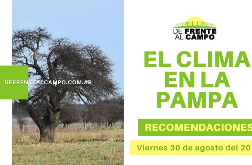 Viernes 30/08: Jornada fresca y nublada en La Pampa con posibles lluvias dispersas