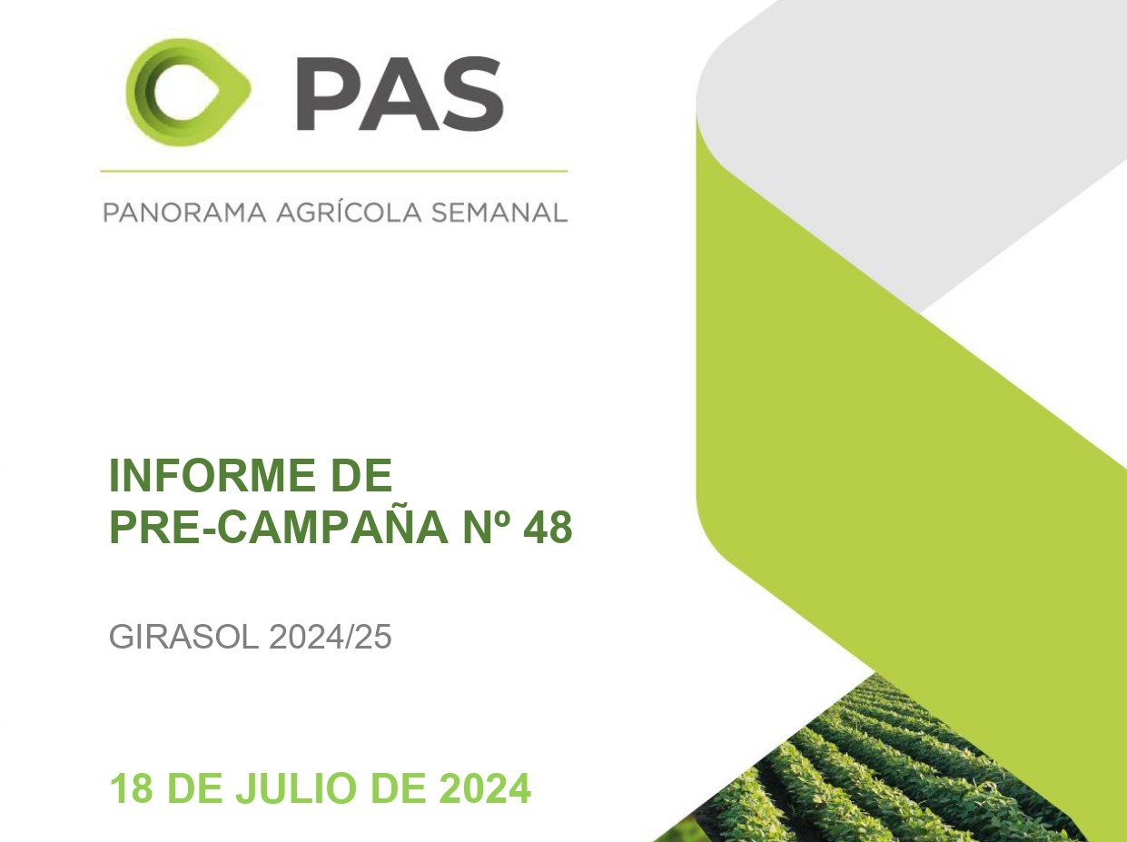 Bolsa De Cereales: Informe de Pre Campaña Girasol 2024/25