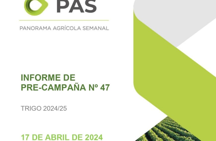 Bolsa De Cereales: Informe de Pre-Campaña Trigo 2024/25