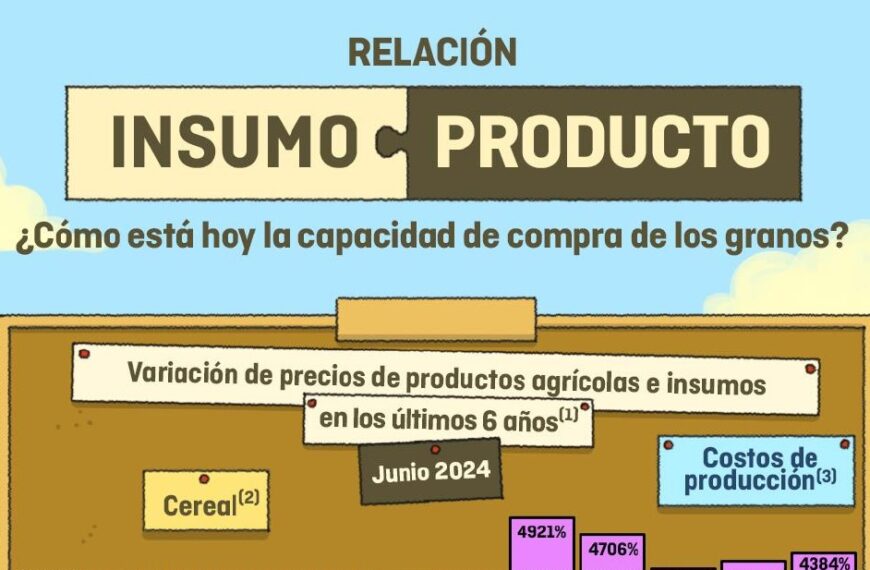 Informe Capacidad compra del grano – Junio 2024 | INTA