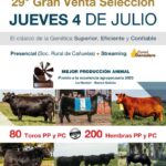 Ojea Rullán y Cía | Cañuelas, Prov. Bs As. | Próximo Remate Feria el jueves 04 de julio del 2024