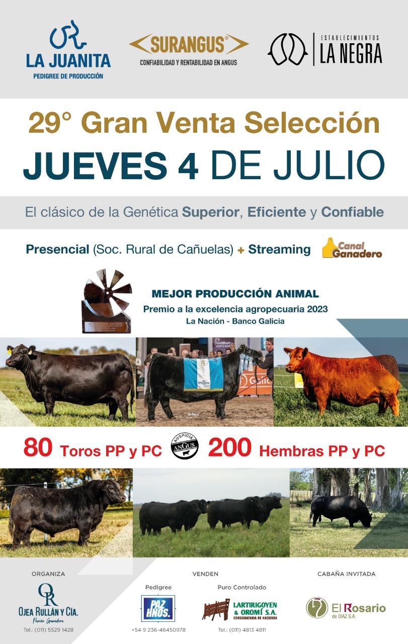 Ojea Rullán y Cía | Cañuelas, Prov. Bs As. | Próximo Remate Feria el jueves 04 de julio del 2024