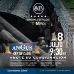 Saenz Valiente, Bullrich y Cia. S.A. | Mercado Agro Ganadero, Buenos Aires | Próximo Remate Feria el lunes 08 de julio 2024