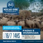 Saenz Valiente, Bullrich y Cia. S.A. | Mercado Ovino | Cañuelas, Prov Bs. As. | Próximo Remate Feria el martes 16 de julio 2024