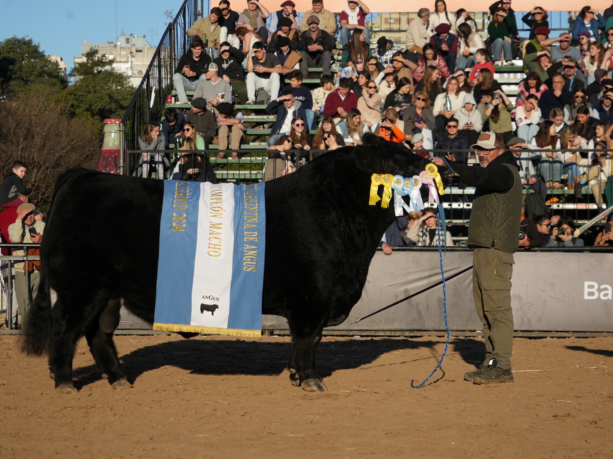 Palermo 2024: Tres Marías se llevó el Gran Campeón macho Angus