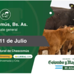 Colombo y Magliano S.A | Chascomús, Bs. As. | Próximo Remate Feria el jueves 11 de julio del 2024