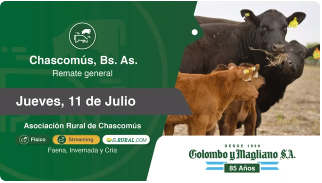 Colombo y Magliano S.A | Chascomús, Bs. As. | Próximo Remate Feria el jueves 11 de julio del 2024