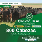 Colombo y Magliano S.A | Ayacucho, Bs. As. | Próximo Remate Feria el Martes 16 de julio del 2024