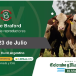 Colombo y Magliano S.A | SRA, Buenos Aires | Próximo Remate Feria el martes 23 de julio del 2024