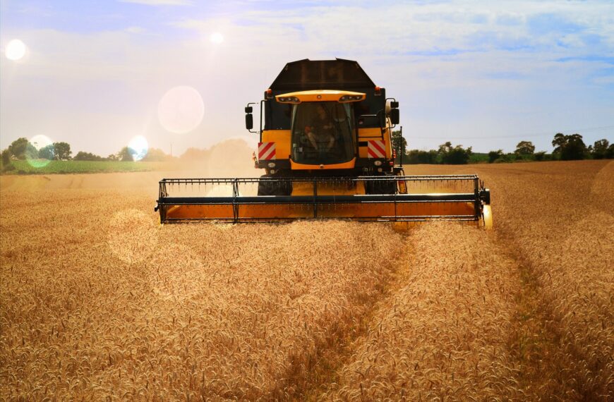 Récord del agro: octubre cerró con el mayor ingreso de dólares de los últimos 22 años para este mes