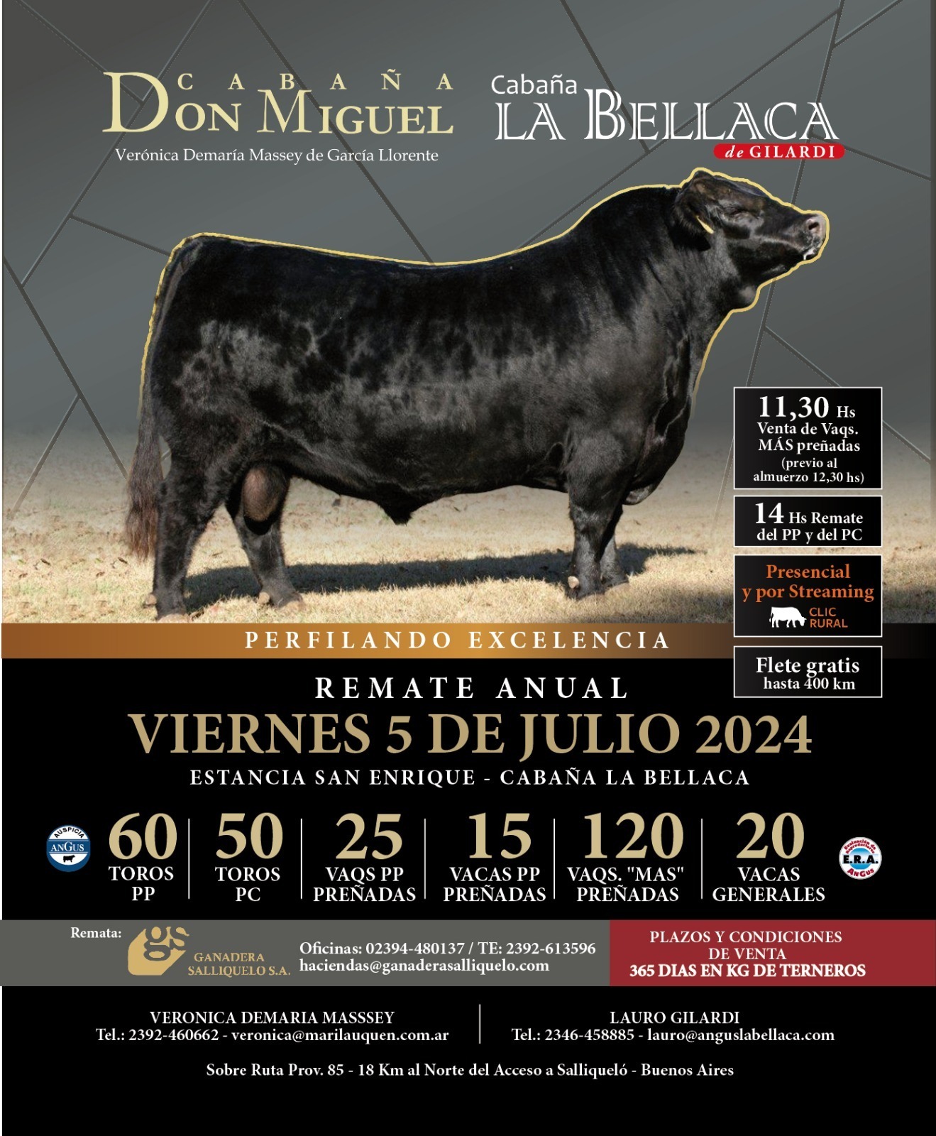 Ganadera Salliquelló S.A. | Salliquelo, Prov. Bs As. | Próximo Remate Feria el viernes 05 de julio del 2024