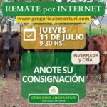 Gregorio Aberasturi SRL | Por internet | Próximo Remate Feria el jueves 11 de julio del 2024