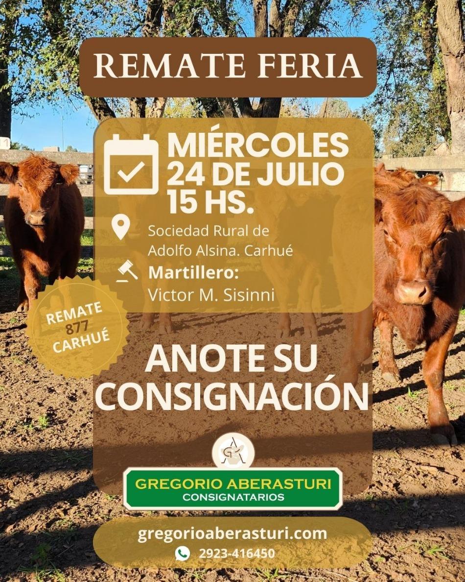 Gregorio Aberasturi SRL | Carhué – Prov. Bs As. | Próximo Remate Feria el miércoles 24 de julio del 2024