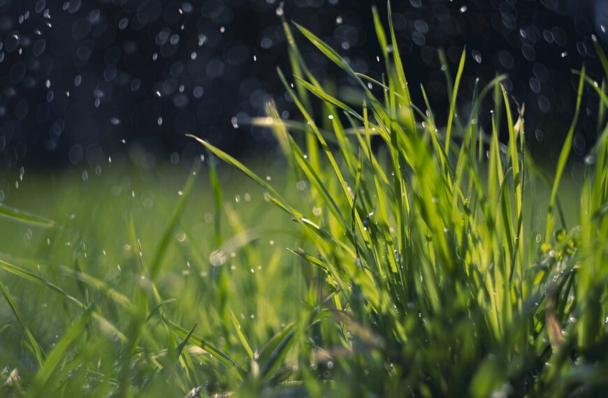 El Servicio Meteorológico Nacional desmintió la probabilidad de una primavera catastrófica para el agro