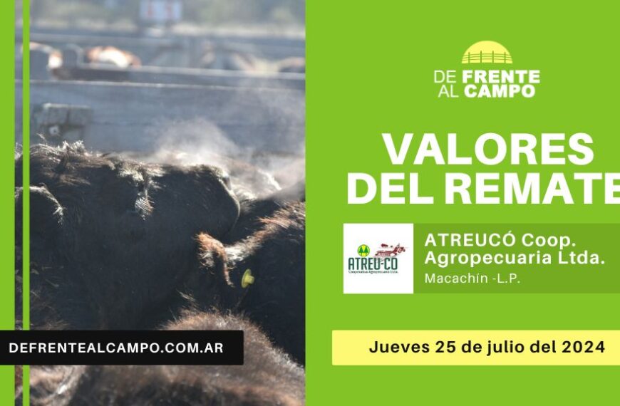 Valores del remate de Atreu-có Cooperativa Agropecuaria LTDA. de Macachín | Macachín – L.P. | 25-07-2024