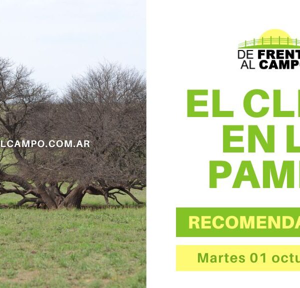 Clima y recomendaciones para La Pampa, hoy martes 01 de octubre de 2024: Fresco y Ventoso