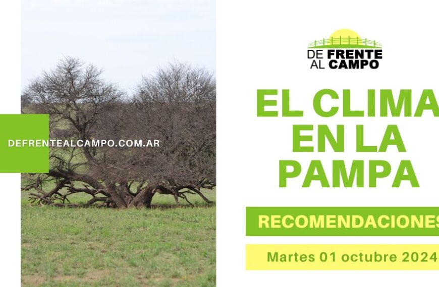 Clima y recomendaciones para La Pampa, hoy martes 01 de octubre de 2024: Fresco y Ventoso