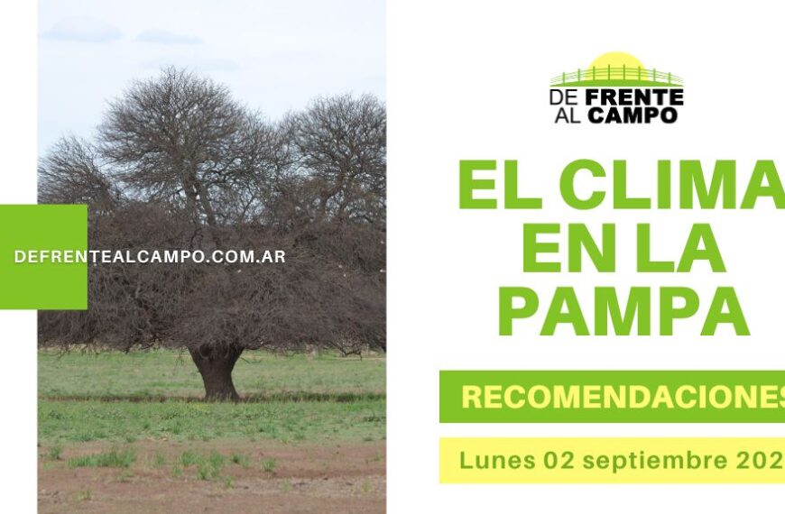 Hoy en La Pampa: ¡Vientos y sol se combinan! ¿Qué esperar este lunes 02 de septiembre de 2024?