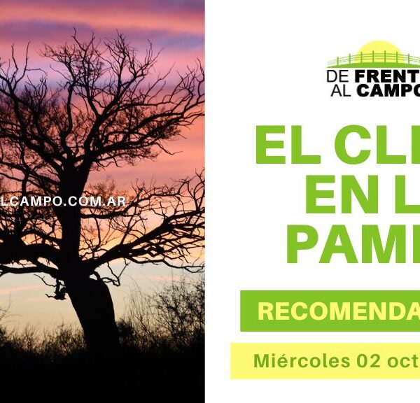 Clima, Pronósticos y Recomendaciones para La Pampa, hoy miércoles 02 de octubre de 2024: Soleado, viento y temperaturas agradables