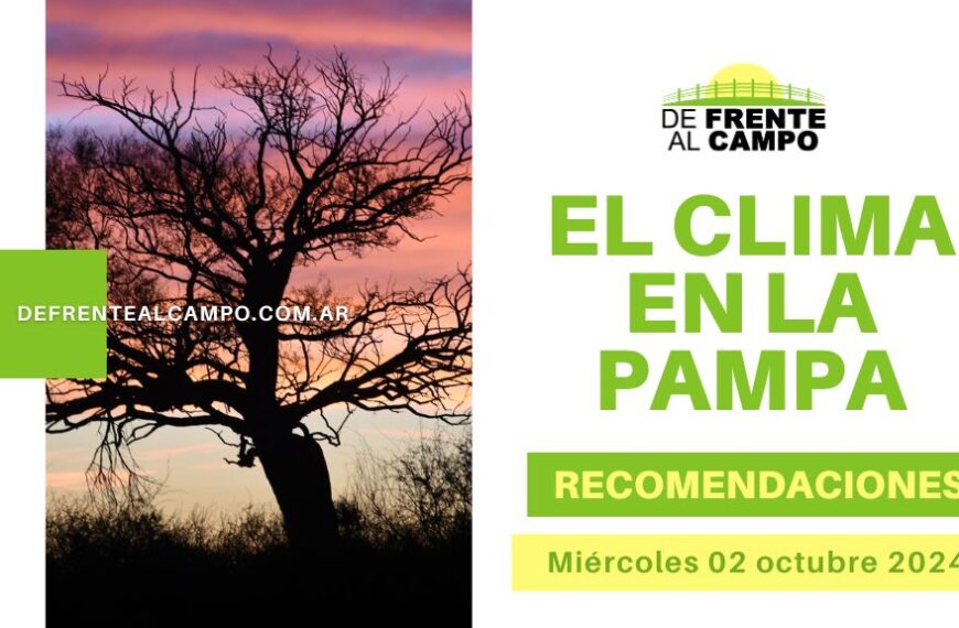 Clima, Pronósticos y Recomendaciones para La Pampa, hoy miércoles 02 de octubre de 2024: Soleado, viento y temperaturas agradables