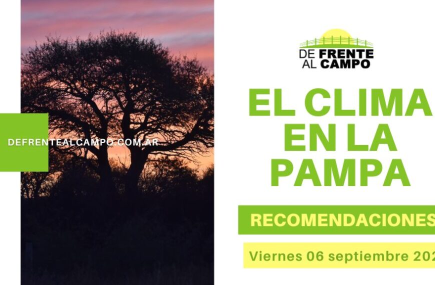 ¡Viernes soleado en La Pampa! Pronóstico, recomendaciones y más para hoy, 6 de septiembre.