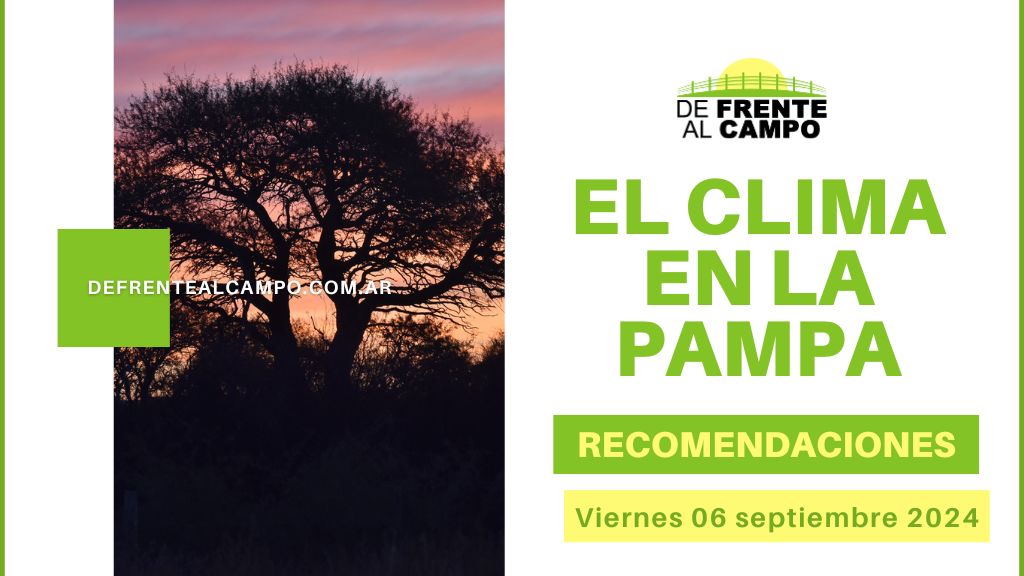 ¡Viernes soleado en La Pampa! Pronóstico, recomendaciones y más para hoy, 6 de septiembre.