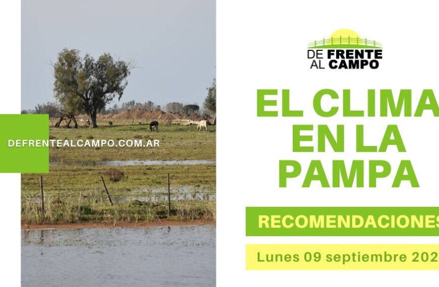 Pronóstico y recomendaciones para La Pampa, hoy lunes 09 de septiembre de 2024: Sol, Vientos Moderados y Recomendaciones