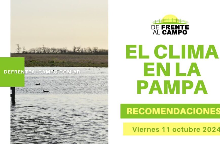 Pronóstico del 11 de Octubre de 2024 para La Pampa: Viernes Ventoso con Temperaturas Cálidas y Viento de hasta 50 km/h