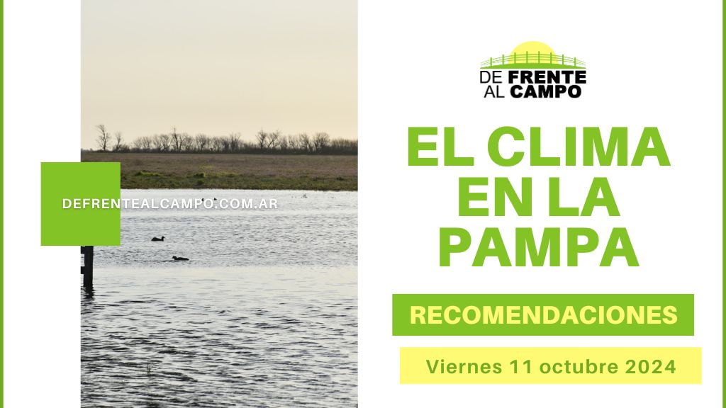 Pronóstico del 11 de Octubre de 2024 para La Pampa: Viernes Ventoso con Temperaturas Cálidas y Viento de hasta 50 km/h