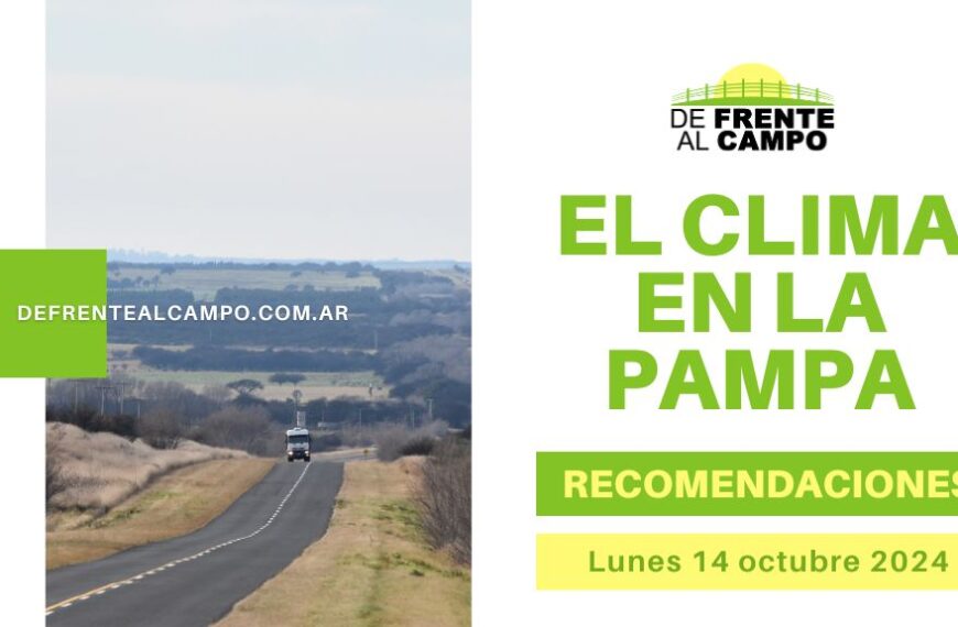 Tormentas y vientos fuertes en La Pampa: así estará el clima este lunes 14 de octubre de 2024