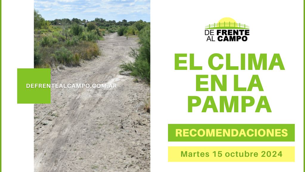 La Pampa bajo el sol: máximas de hasta 27°C este martes 15 de octubre 2024