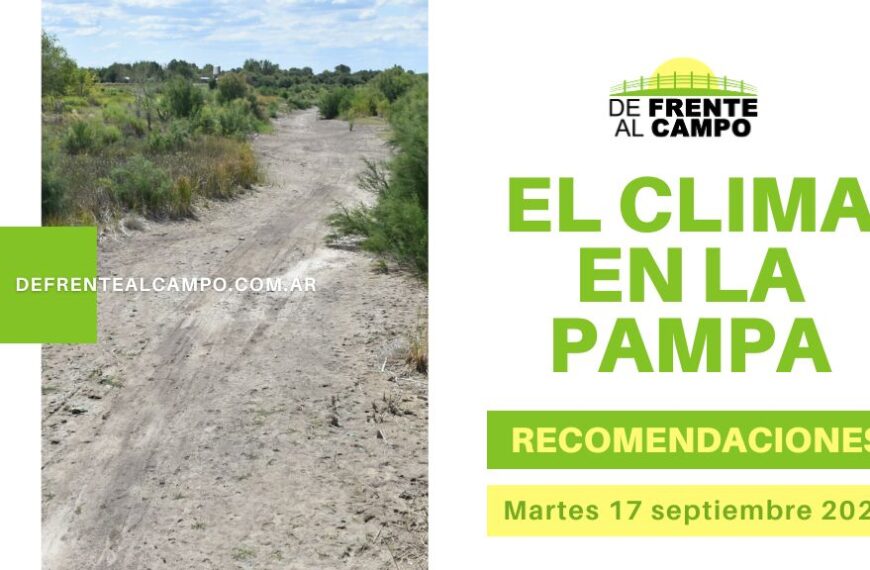 Clima y recomendaciones para La Pampa, hoy martes 17 de septiembre de 2024: Temperaturas cálidas y vientos intensos