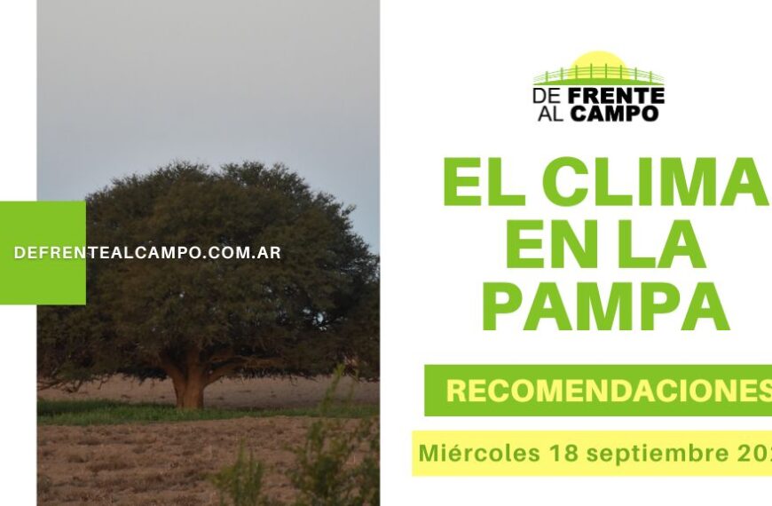 Clima y recomendaciones para La Pampa, hoy miércoles 18 de septiembre de 2024: Calor, vientos intensos y tormentas eléctricas