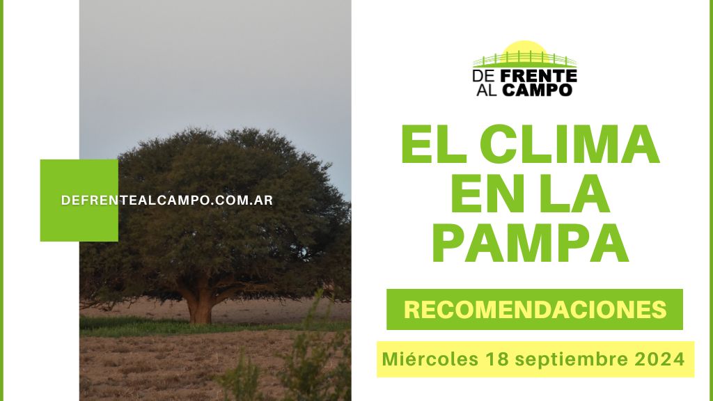 Clima y recomendaciones para La Pampa, hoy miércoles 18 de septiembre de 2024: Calor, vientos intensos y tormentas eléctricas