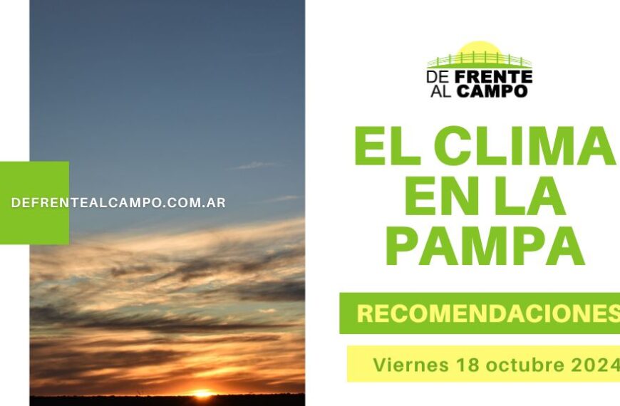 Viernes caluroso y ventoso hoy La Pampa: Pronóstico para este fin de semana