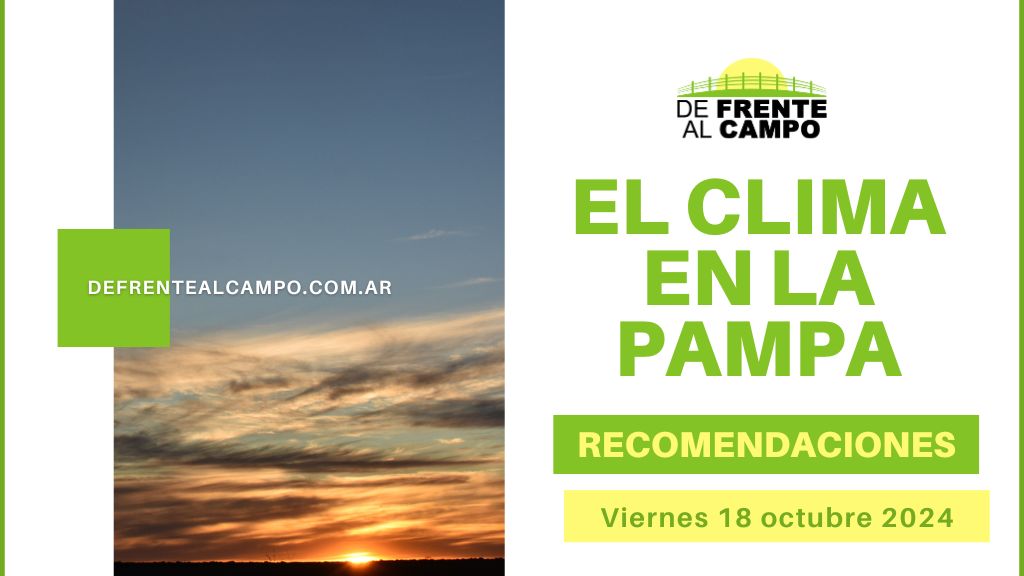 Viernes caluroso y ventoso hoy La Pampa: Pronóstico para este fin de semana