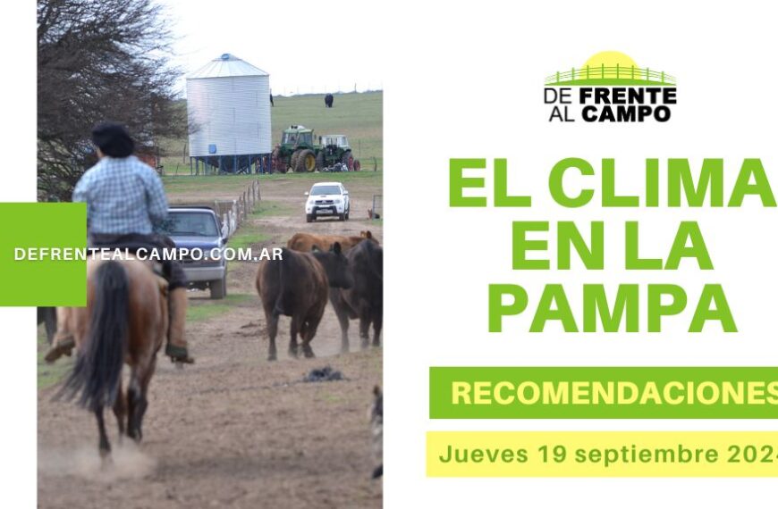 Clima y recomendaciones para La Pampa, hoy jueves 19 de septiembre de 2024: Con vientos fuertes y temperaturas agradables