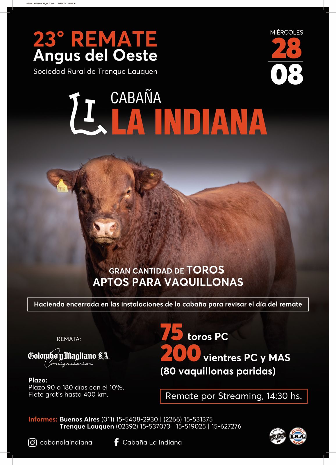 Colombo y Magliano S.A | 23º Remate de Angus del Oeste | Próximo Remate Feria el miércoles 28 de agosto del 2024