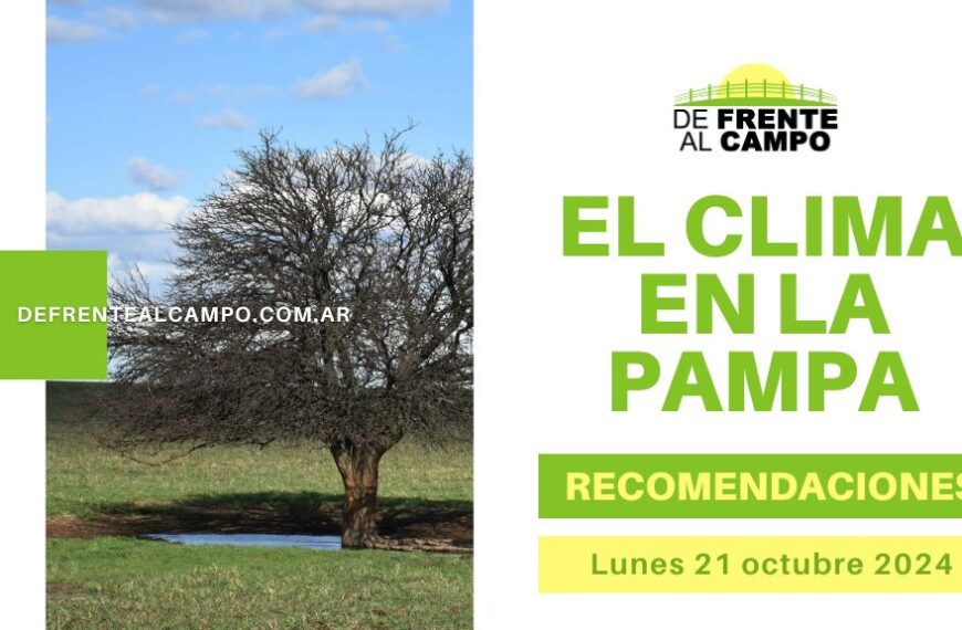 Lunes 21 de octubre: Vientos Fuertes y Sol Radiante en La Pampa