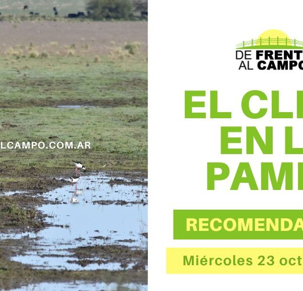 Tormentas y lluvias persisten en La Pampa este miércoles 23 de octubre