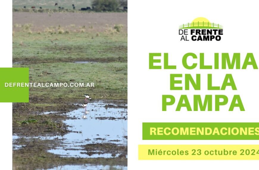 Tormentas y lluvias persisten en La Pampa este miércoles 23 de octubre