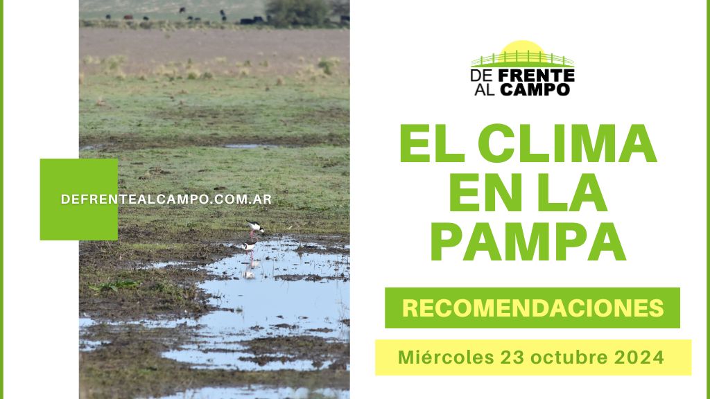 Tormentas y lluvias persisten en La Pampa este miércoles 23 de octubre