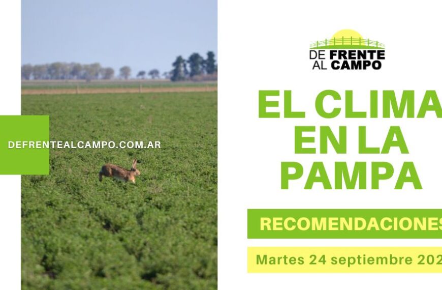 Este martes 24 de septiembre en La Pampa: Clima cálido con algo de viento – pronóstico y recomendaciones