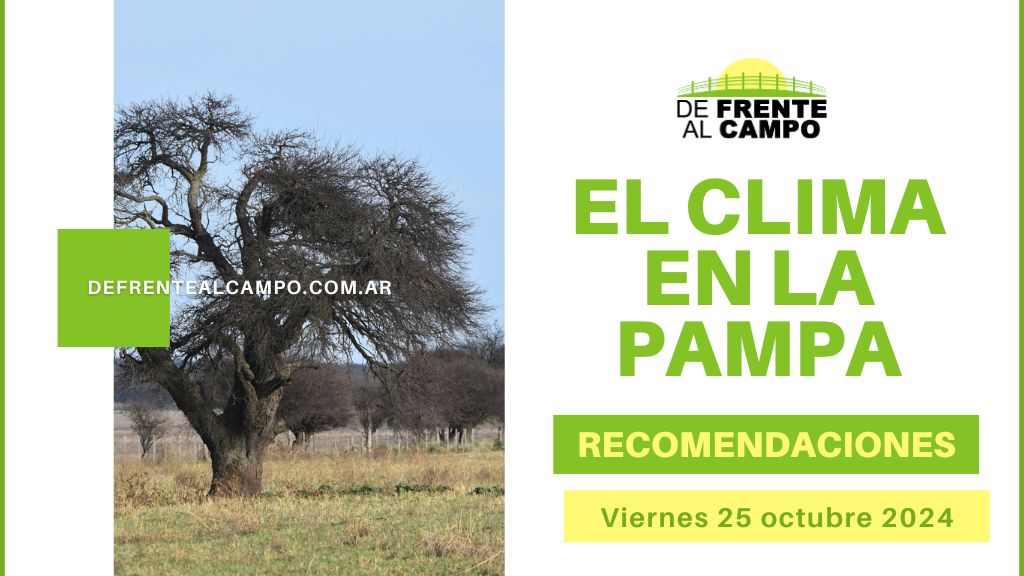 Viernes 25 de octubre ventoso en La Pampa: advertencia de ráfagas y nubes dispersas