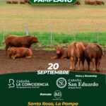 3º Remate Limangus Pampeano – Saenz Valiente Bullrich | Santa Rosa, La Pampa | Próximo Remate Feria el viernes 20 de septiembre de 2024