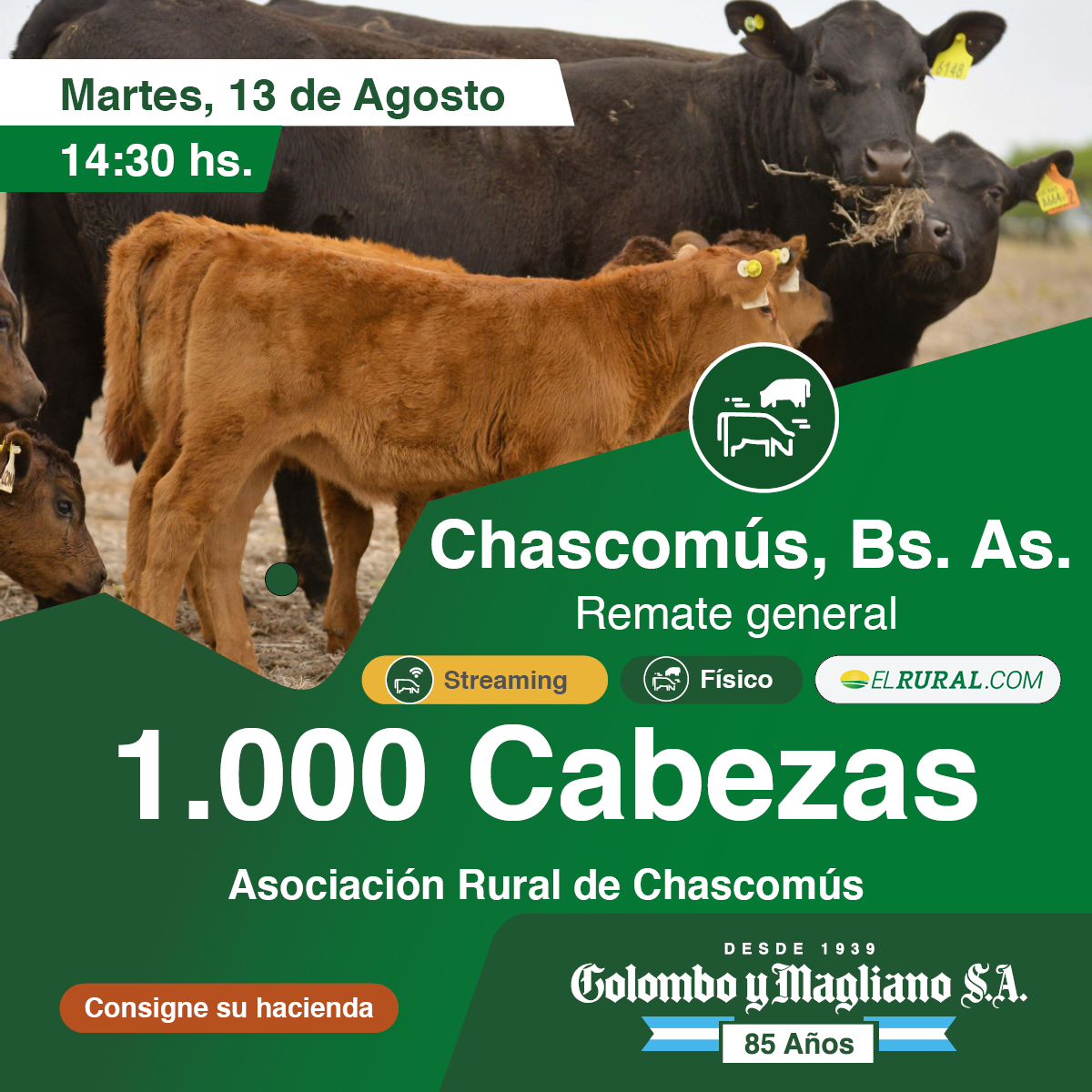 Colombo y Magliano S.A | Chascomús, Bs. As. | Próximo Remate Feria el martes 13 de agosto del 2024