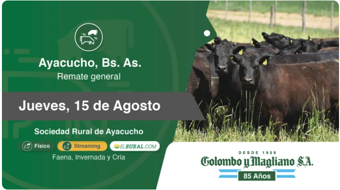 Colombo y Magliano S.A | Ayacucho, Bs. As. | Próximo Remate Feria el jueves 15 de agosto del 2024