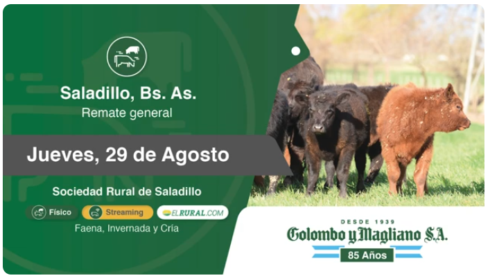 Colombo y Magliano S.A | Saladillo, Bs. As. | Próximo Remate Feria el jueves 29 de agosto del 2024