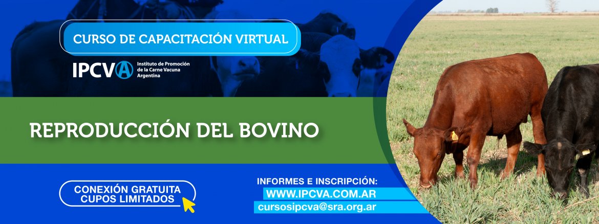 Más capacitación virtual: Reproducción del Bovino